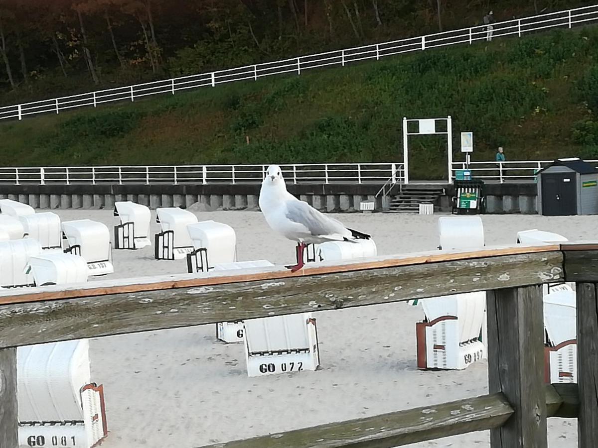 Sellin - Seedorf Am Neuensiener See Apartment 08 외부 사진